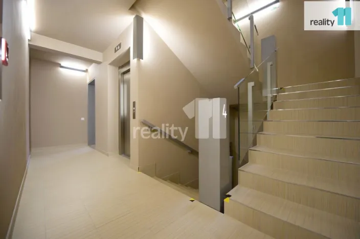 Pronájem bytu 2+kk, Praha - Žižkov, Prokopova, 66 m2