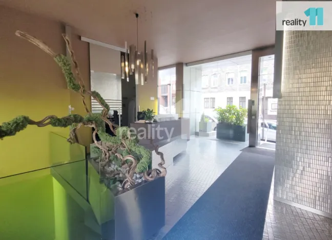 Pronájem bytu 2+kk, Praha - Žižkov, Prokopova, 66 m2