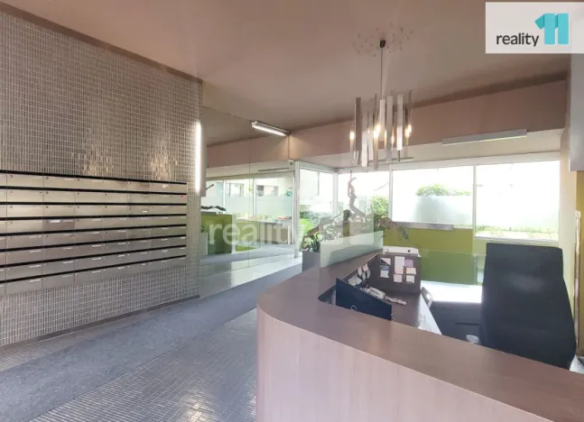 Pronájem bytu 2+kk, Praha - Žižkov, Prokopova, 66 m2