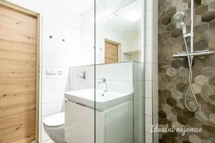 Pronájem bytu 1+kk, Praha - Vysočany, Skloněná, 44 m2