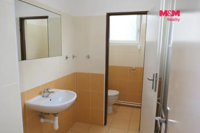Pronájem kanceláře, Králův Dvůr, V Lukách, 200 m2