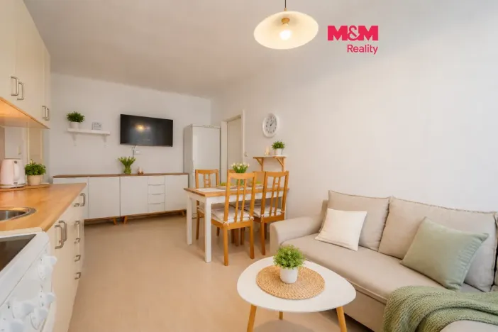 Prodej bytu 2+kk, České Budějovice - České Budějovice 6, Rudolfovská tř., 50 m2
