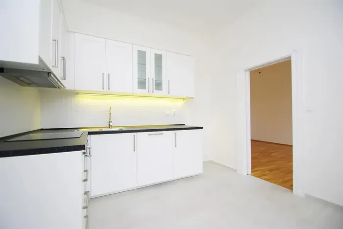 Pronájem bytu 1+1, Praha - Vinohrady, Mánesova, 47 m2
