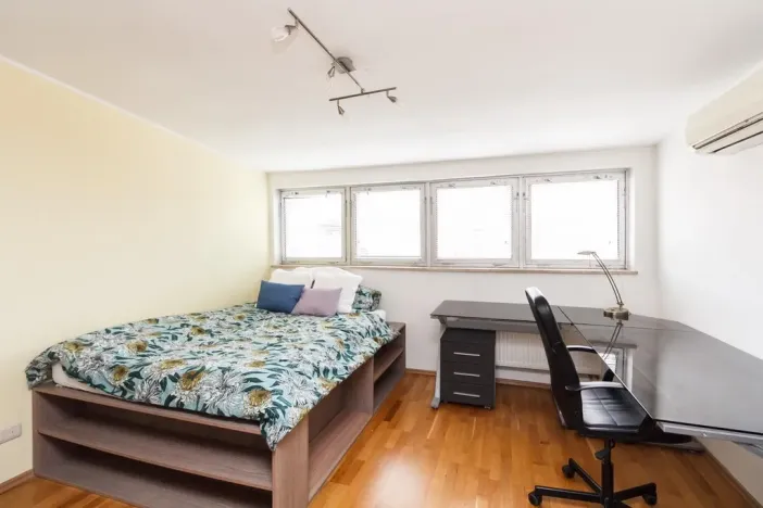 Pronájem bytu 5+kk, Praha - Vinohrady, Balbínova, 186 m2