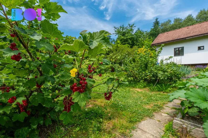 Prodej chaty, Pstruží, 47 m2