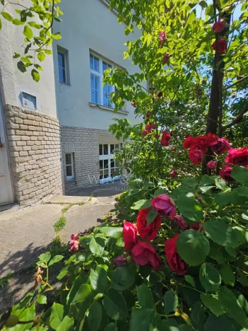 Pronájem bytu 1+1, Praha - Dejvice, Na pískách, 53 m2
