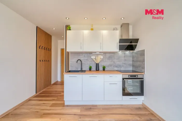 Prodej bytu 1+kk, Horní Bříza, U Vrbky, 22 m2