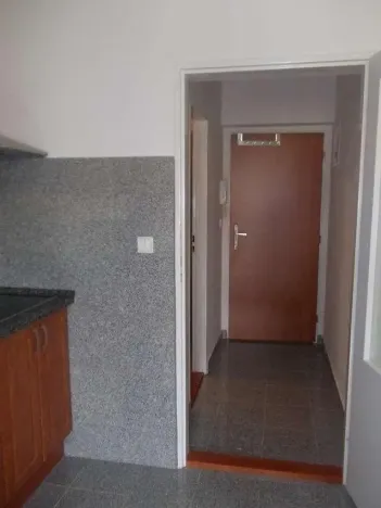 Pronájem bytu 1+kk, Praha - Vysočany, Freyova, 30 m2
