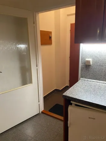 Pronájem bytu 1+kk, Praha - Vysočany, Freyova, 30 m2