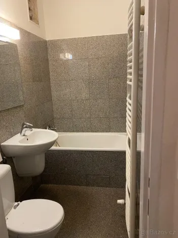 Pronájem bytu 1+kk, Praha - Vysočany, Freyova, 30 m2