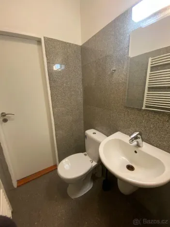 Pronájem bytu 1+kk, Praha - Vysočany, Freyova, 30 m2