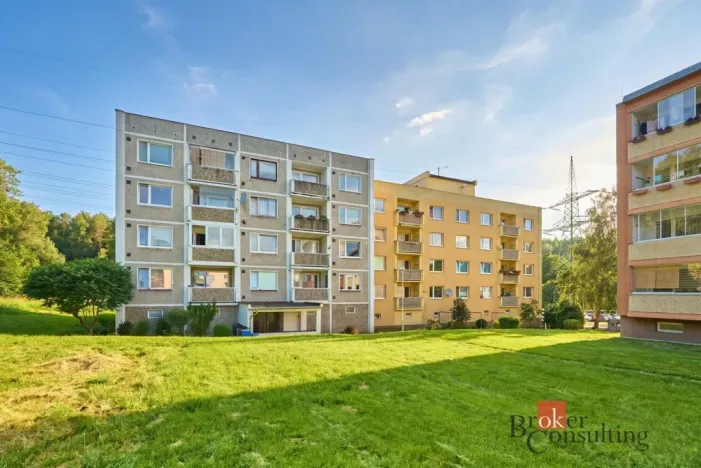 Prodej bytu 1+1, Loket, Sportovní, 45 m2