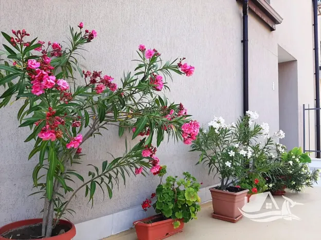 Prodej bytu 1+kk, Bjala, Bulharsko, 30 m2