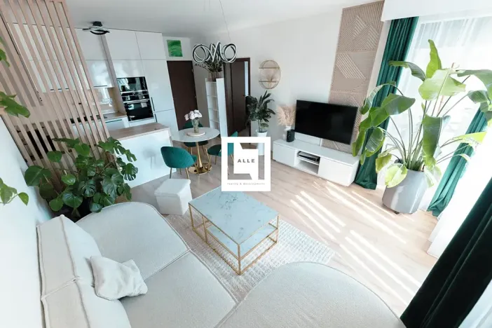 Prodej bytu 2+kk, Olomouc, Věry Pánkové, 60 m2