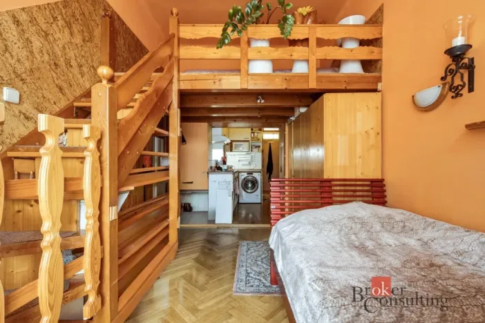 Prodej bytu 1+kk, Praha - Nusle, Spytihněvova, 24 m2