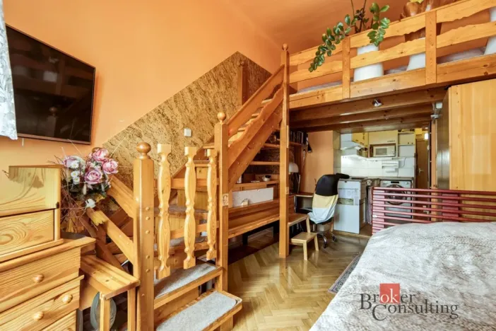 Prodej bytu 1+kk, Praha - Nusle, Spytihněvova, 24 m2