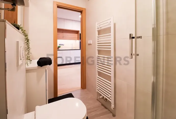 Pronájem bytu 1+kk, Brno, Cyrilská, 23 m2
