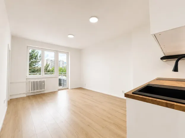 Prodej bytu 2+kk, Praha - Vršovice, U Slavie, 44 m2