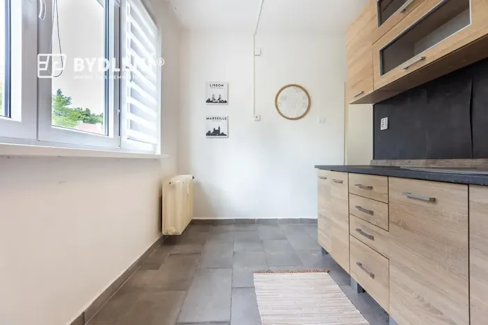 Prodej bytu 2+1, Litvínov, Podkrušnohorská, 56 m2