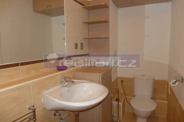 Pronájem bytu 2+1, Plzeň - Východní Předměstí, Francouzská třída, 60 m2