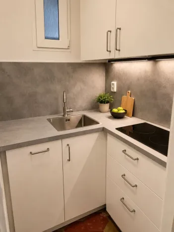 Pronájem bytu 2+1, Praha - Vinohrady, Lužická, 56 m2