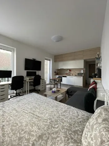Pronájem bytu 1+kk, Brno - Zábrdovice, Francouzská, 30 m2