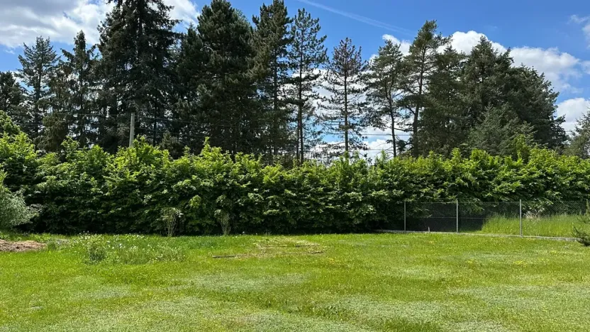 Prodej rodinného domu, Vojkov, 171 m2