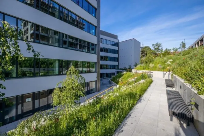 Pronájem kanceláře, Praha - Košíře, Plzeňská, 60 m2