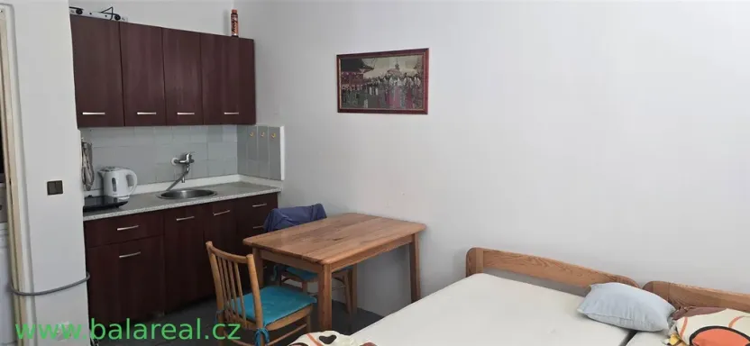 Pronájem bytu 1+kk, Brno - Lesná, Halasovo náměstí, 29 m2