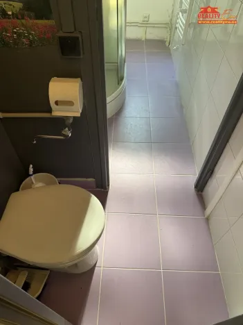 Prodej bytu 3+1, Nové Město nad Metují, Družstevní, 58 m2
