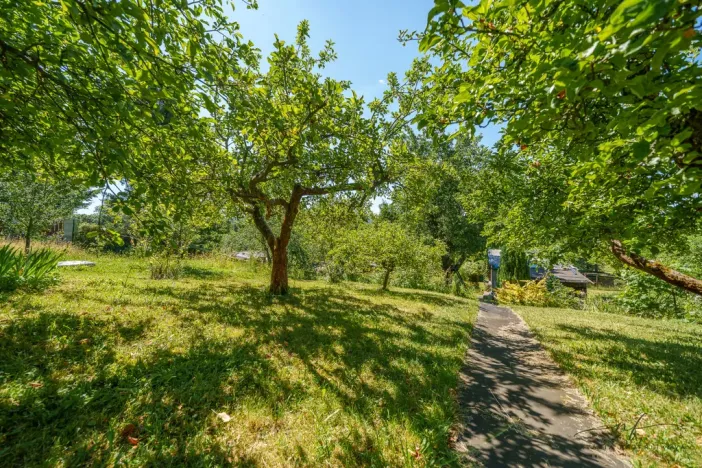 Prodej zahrady, Sokolov, 594 m2