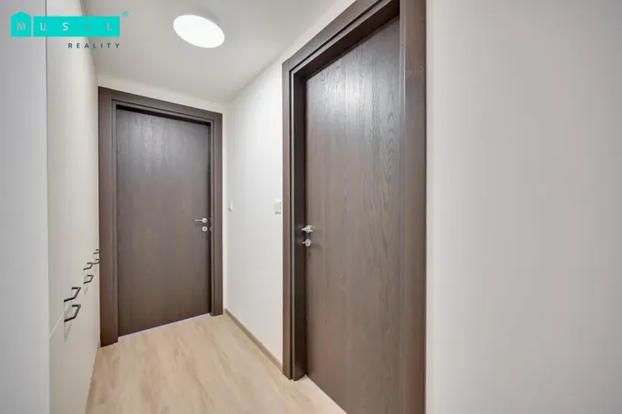 Pronájem bytu 2+kk, Olomouc - Nová Ulice, Třída Jiřího Pelikána, 55 m2