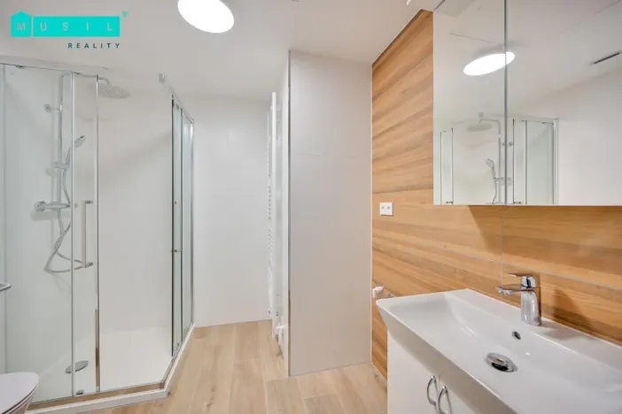 Pronájem bytu 2+kk, Olomouc - Nová Ulice, Třída Jiřího Pelikána, 55 m2