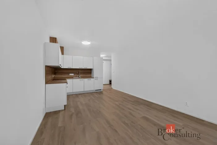 Pronájem bytu 2+kk, Plzeň - Východní Předměstí, 55 m2