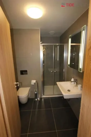 Pronájem bytu 1+kk, Praha, Štěchovická, 40 m2