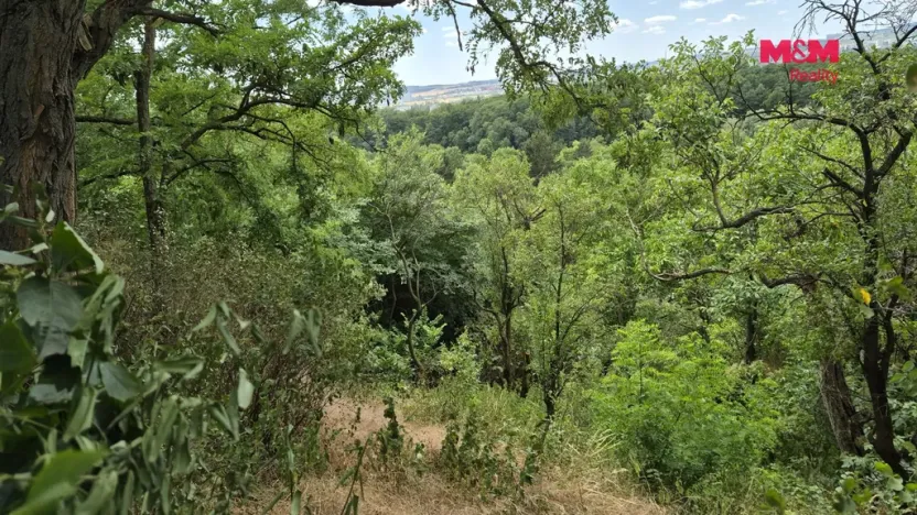 Prodej zahrady, Brno - Ivanovice, 1358 m2