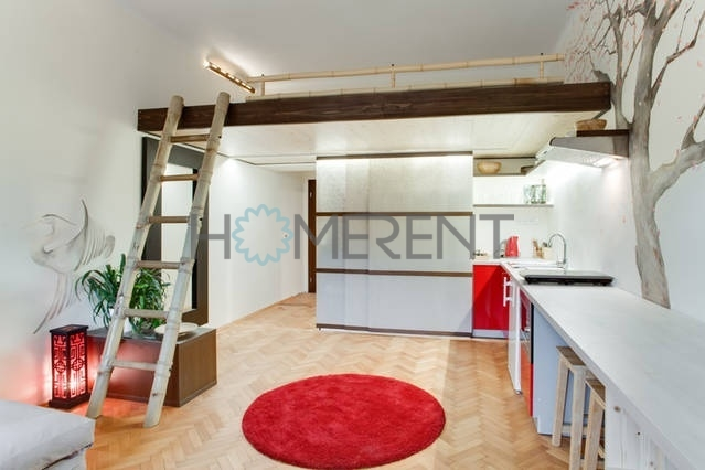 Pronájem bytu 1+kk, Praha - Nusle, Sekaninova, 35 m2