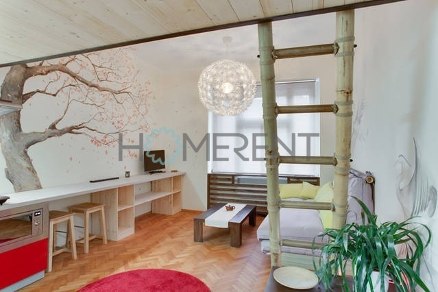 Pronájem bytu 1+kk, Praha - Nusle, Sekaninova, 35 m2