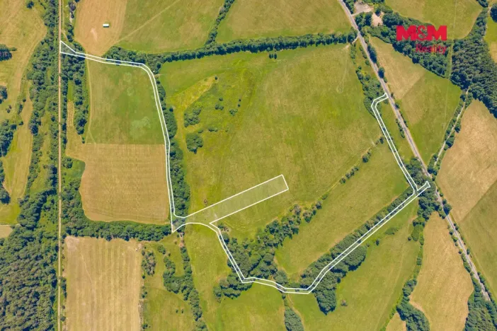 Prodej louky, Nové Mitrovice, 11703 m2