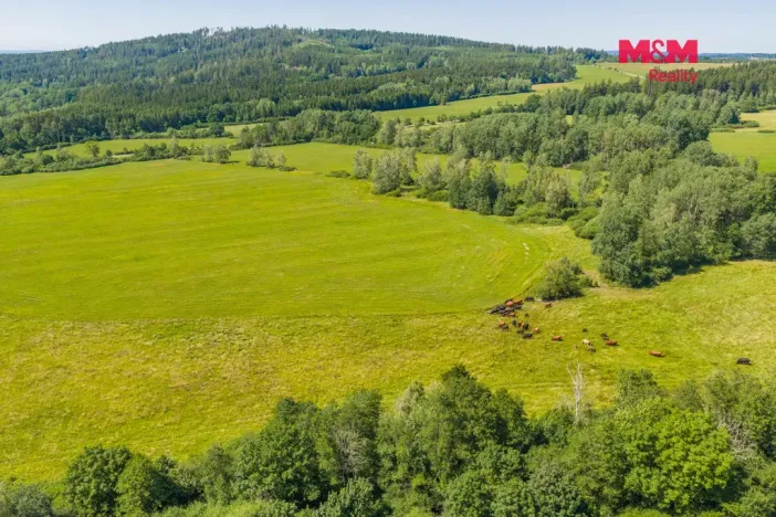 Prodej louky, Nové Mitrovice, 11703 m2