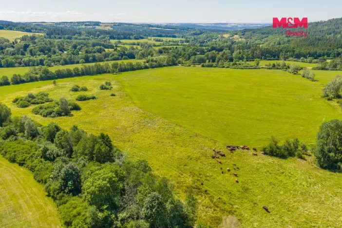 Prodej louky, Nové Mitrovice, 11703 m2