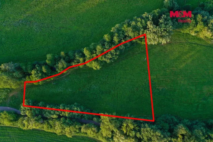 Prodej louky, Horní Bříza, 4590 m2