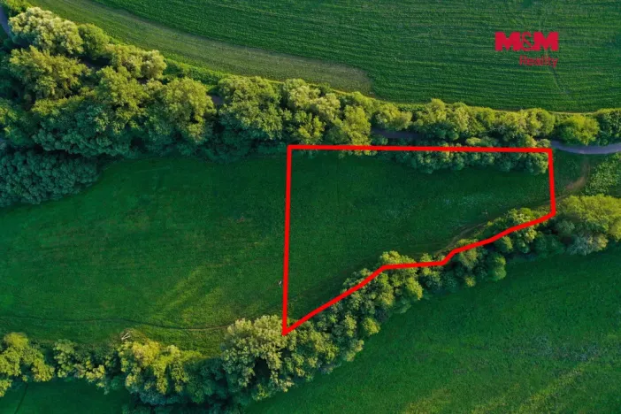 Prodej louky, Horní Bříza, 4590 m2