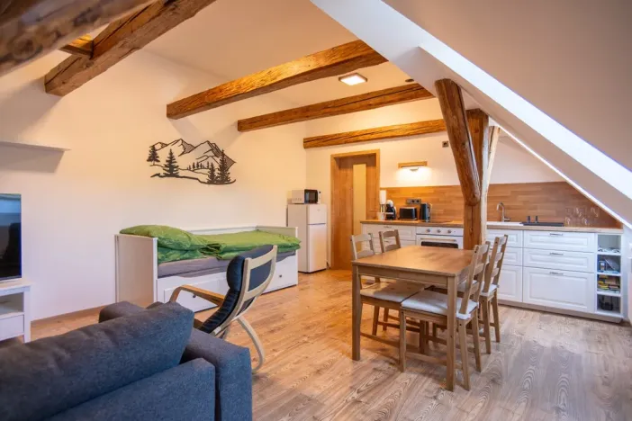 Pronájem bytu 1+kk, Staré Buky - Prostřední Staré Buky, 35 m2
