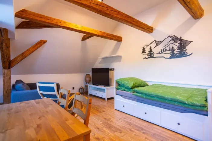 Pronájem bytu 1+kk, Staré Buky - Prostřední Staré Buky, 35 m2