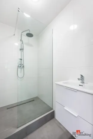 Prodej bytu 1+1, Frýdek-Místek - Frýdek, Křižíkova, 45 m2
