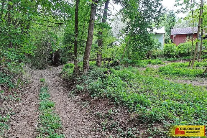 Prodej chaty, Letovice, 7 m2