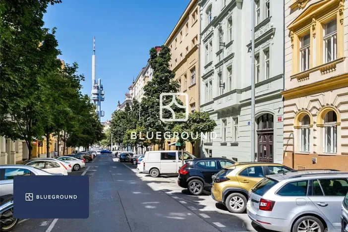 Pronájem bytu 1+1, Praha - Vinohrady, Řipská, 38 m2