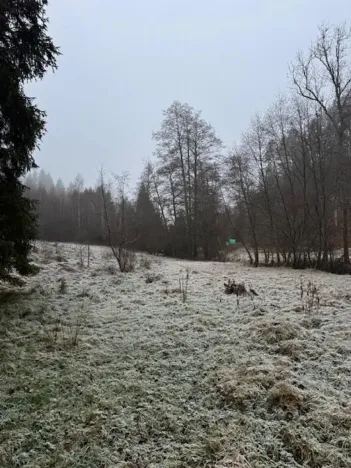 Prodej lesa, Vacov, 24200 m2