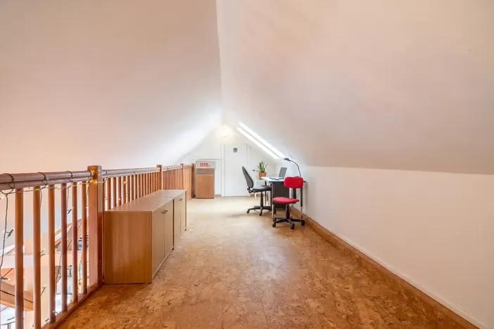 Prodej bytu 4+kk, Praha - Vršovice, Amurská, 175 m2